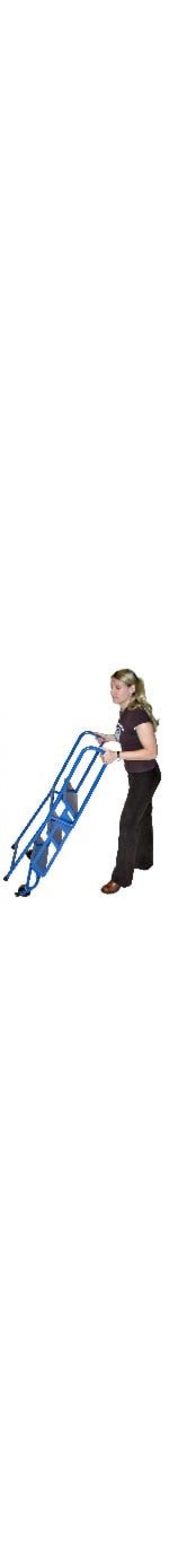 Lock-N-Stock Folding Safety Ladder