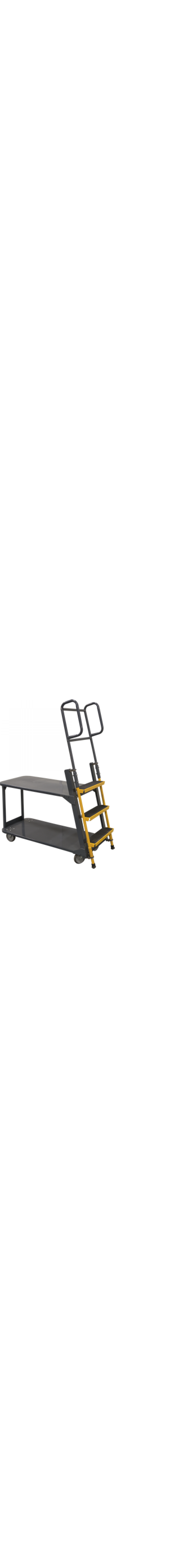 Merchandise Ladder Cart
