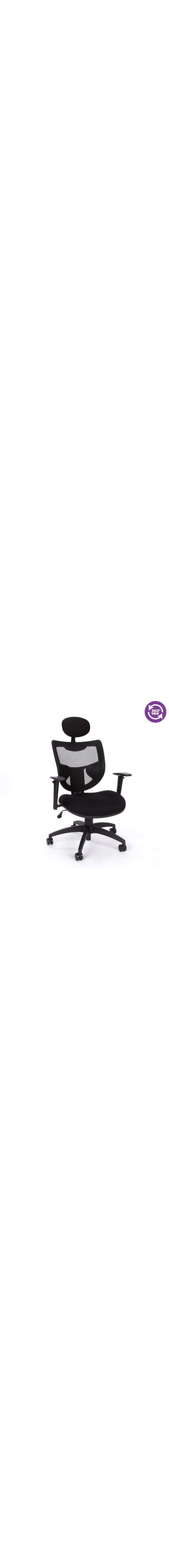 Parker Ridge Series Executive Mesh Chair with Headrest