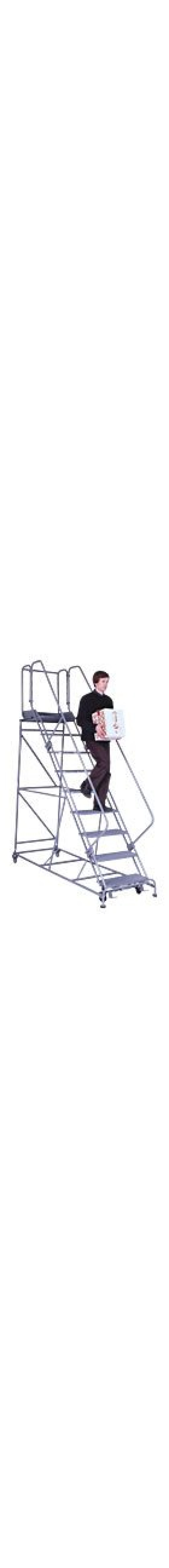 Series 2600 Rolling Ladder