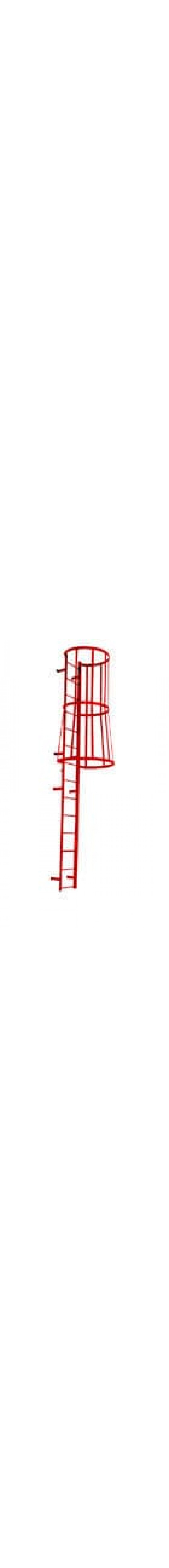 Series SC Fixed Safety Cage Ladder