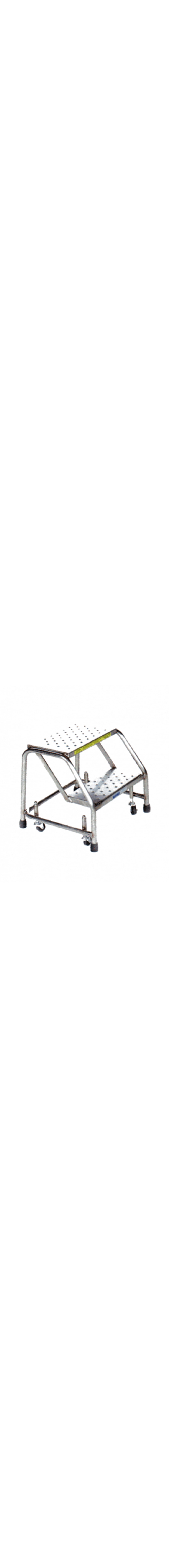 Stainless Steel Spring Loaded Caster Ladders