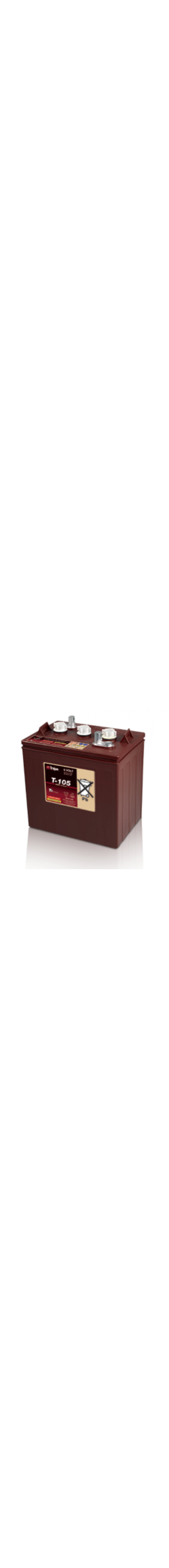 T-105 6V Deep Cycle Battery
