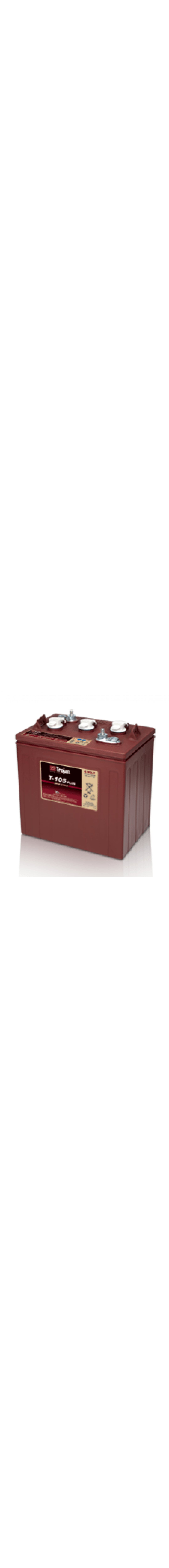 T-105 Plus 6V Deep Cycle Battery