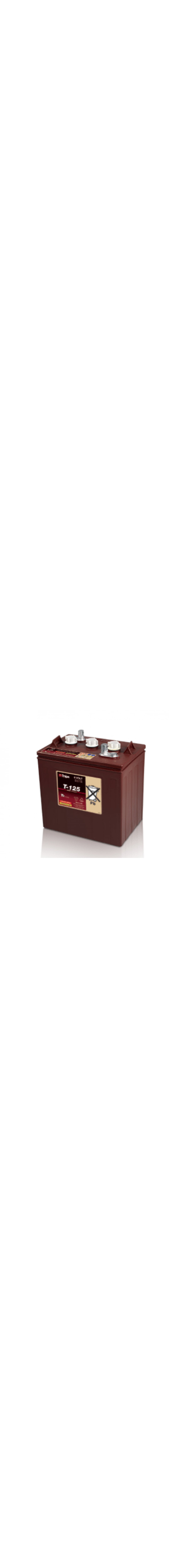 T-125 6V Deep Cycle Battery