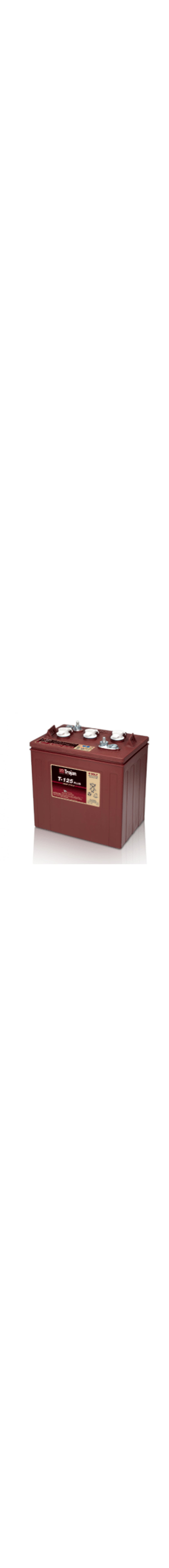T-125 Plus 6V Deep Cycle Battery