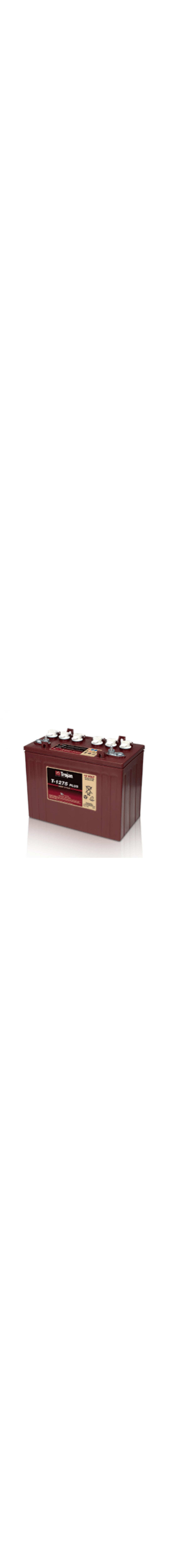T-1275 Plus Deep Cycle Battery