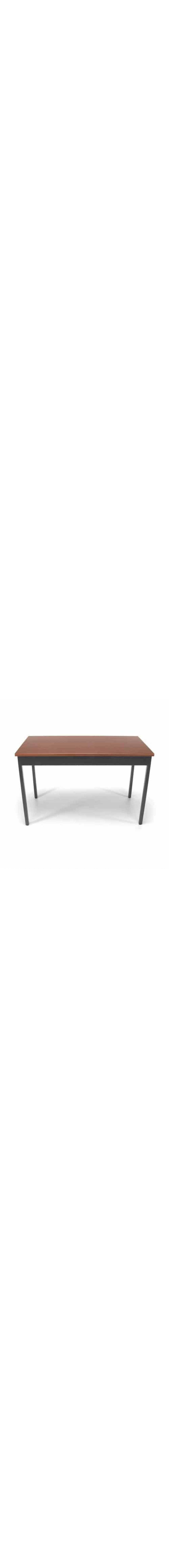 Utility Table 24x48