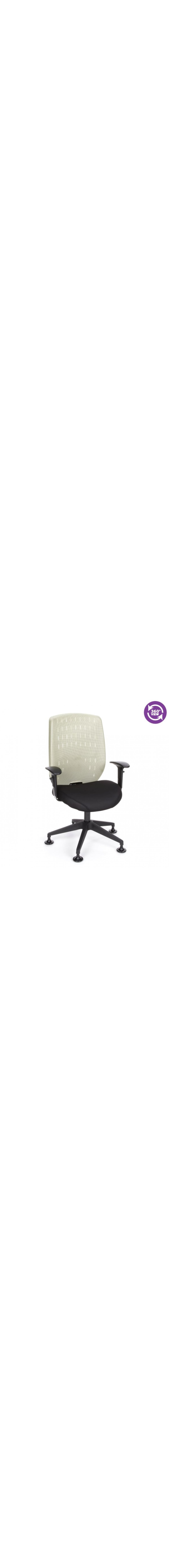Vision Series Executive Guest Chair