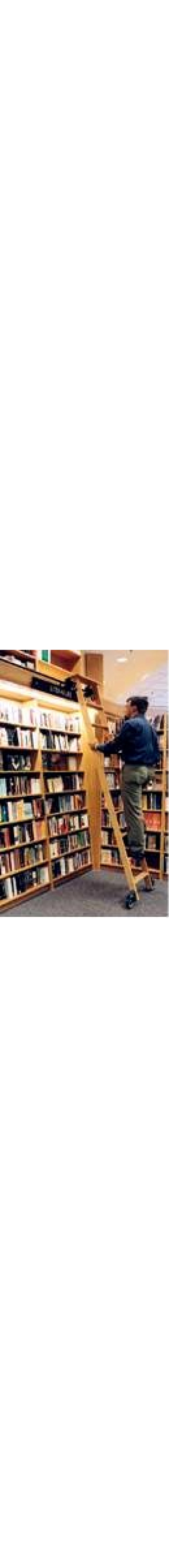 Wood Track Library Ladder